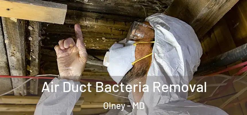  Air Duct Bacteria Removal Olney - MD