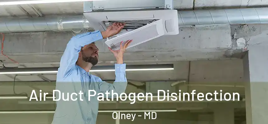 Air Duct Pathogen Disinfection Olney - MD