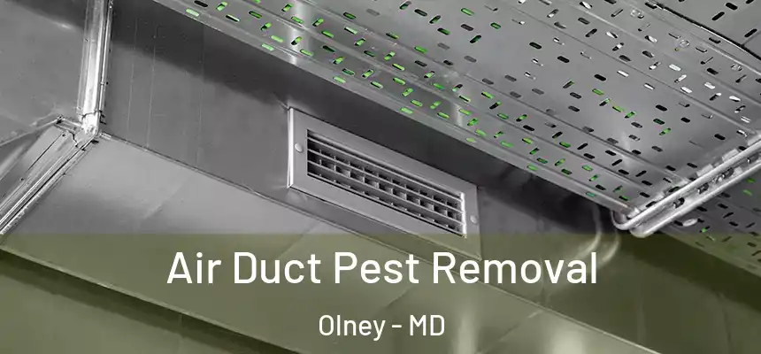 Air Duct Pest Removal Olney - MD