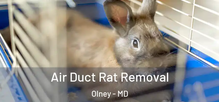  Air Duct Rat Removal Olney - MD