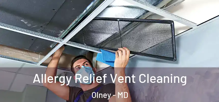  Allergy Relief Vent Cleaning Olney - MD