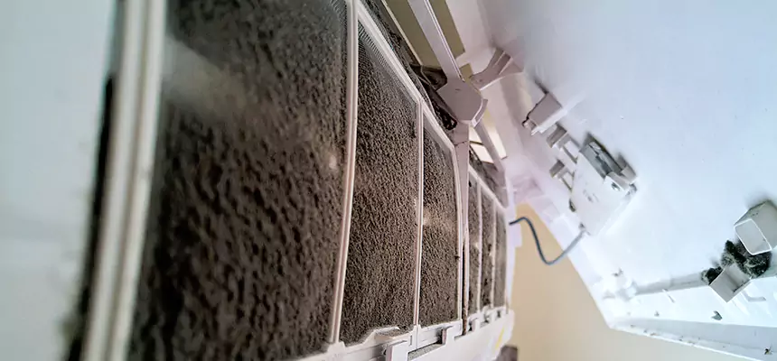 Preventive Air Duct Bacteria Removal in Olney