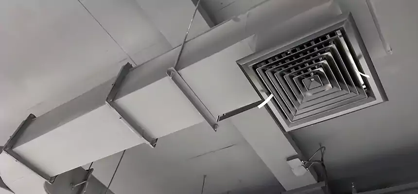 Restorative Allergy Relief Vent Cleaning – Coil, Blower & Housing Detail in Olney