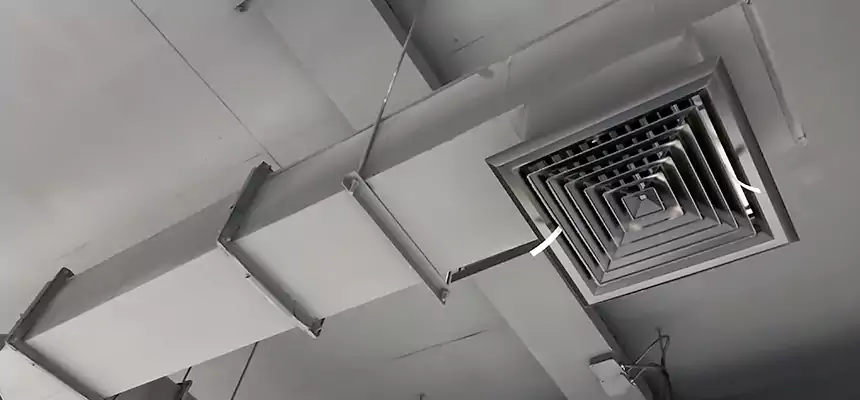 Our Rodent Droppings In Vents Services in Olney, MD