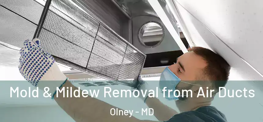  Mold & Mildew Removal from Air Ducts Olney - MD