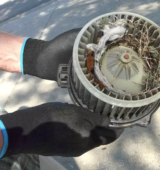 About Air Duct Rat Removal in Olney, MD