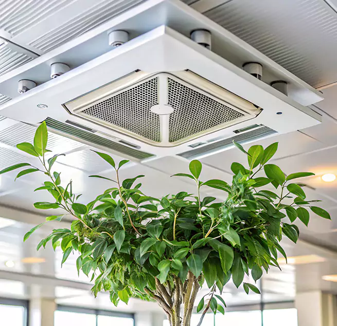 Why Homeowners & Businesses Trust Us in Olney, MD?